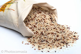 Auto industry Product Photo In studio